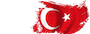 CERN - TÜRKİYE BİLGİ TRANSFERİ ZİRVESİ