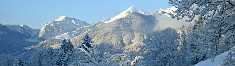 55. Arbeitstreffen Kernphysik 2026