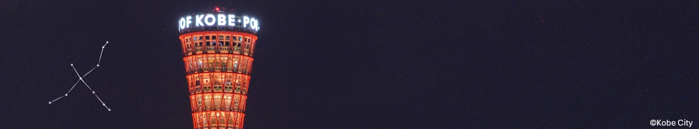 9th edition of the international CYGNUS Workshop on Directional Recoil Detection