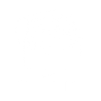 TREASURE: Tokenizing HEP Collider Data for AI Discovery