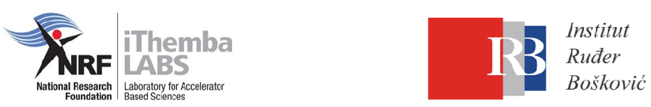 CONES International workshop: Ion Beams, Nanoscience and Scientific Leadership