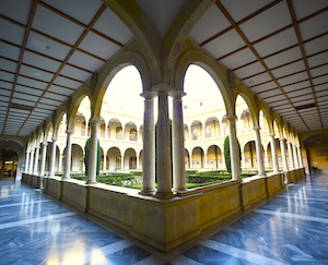 Developments on Generalized Symmetries of Quantum Systems