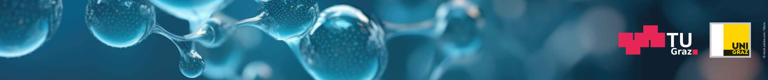 ÖPG-CMD Joint Meeting 2026