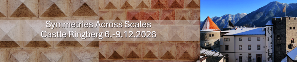 Symmetries Across Scales