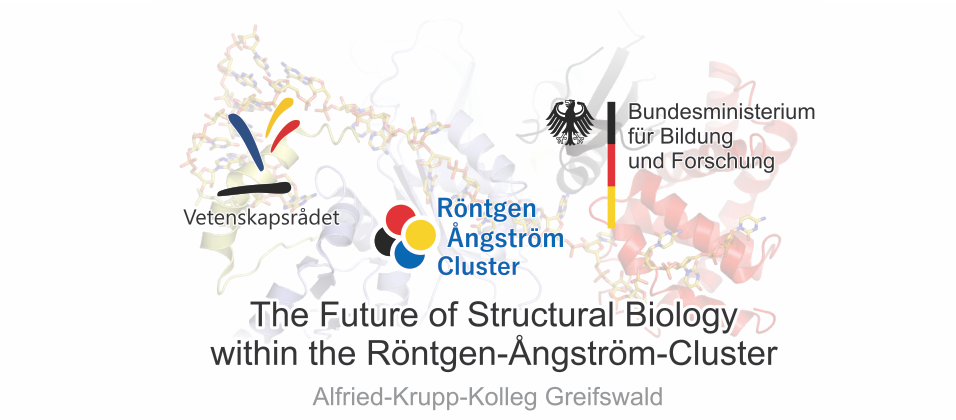 The Future of Structural Biology within the RÅC