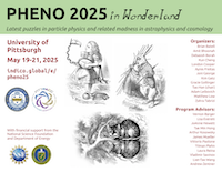 Phenomenology 2025 Symposium